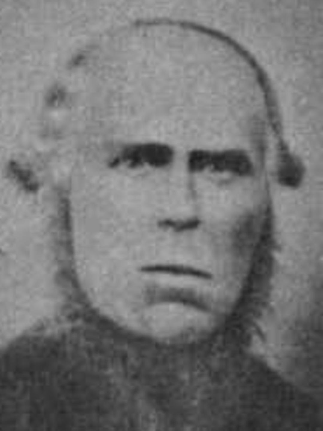 John Sargent (1818 - 1869) Profile